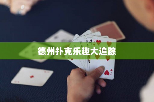 德州撲克樂(lè)趣大追蹤