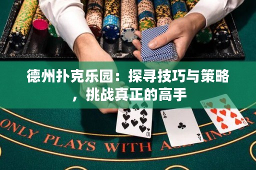 德州撲克樂(lè)園：探尋技巧與策略，挑戰(zhàn)真正的高手