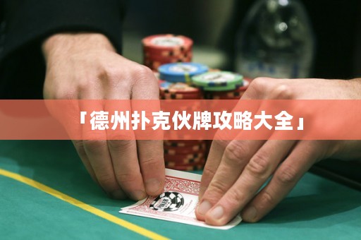 「德州撲克伙牌攻略大全」