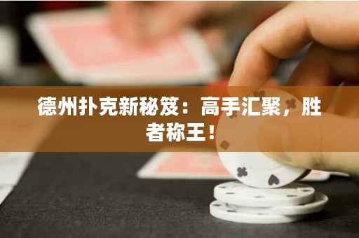 德州撲克新秘笈：高手匯聚，勝者稱王！