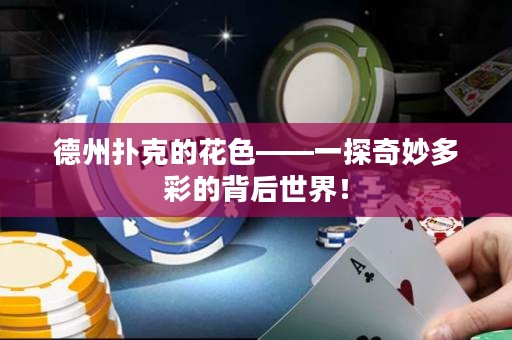 德州撲克的花色——一探奇妙多彩的背后世界！