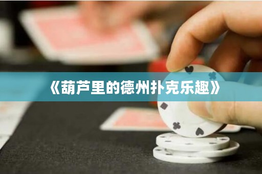 《葫蘆里的德州撲克樂趣》
