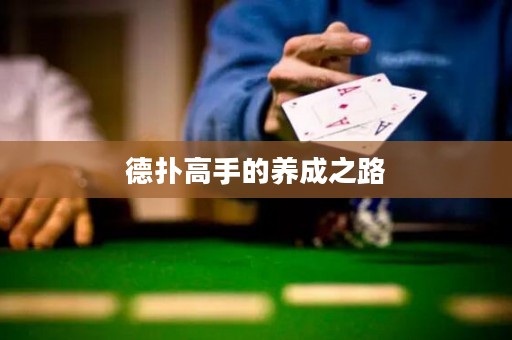 德撲高手的養(yǎng)成之路