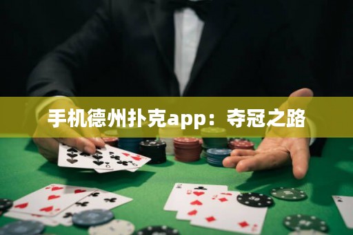 手機德州撲克app：奪冠之路