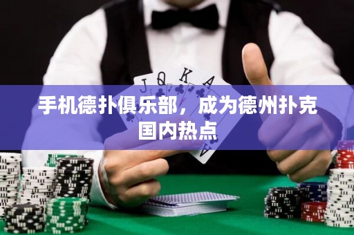 手機德?lián)渚銟凡浚蔀榈轮輷淇藝鴥?nèi)熱點