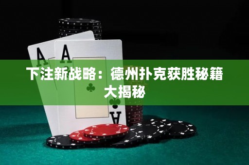 下注新戰(zhàn)略：德州撲克獲勝秘籍大揭秘