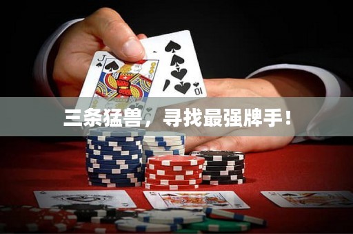 三條猛獸，尋找最強(qiáng)牌手！