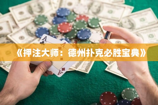 《押注大師：德州撲克必勝寶典》